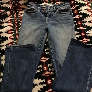 BKE Light and Dark Blue Women's Skinny Jeans